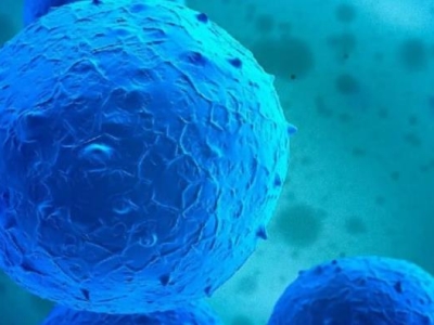 再传喜讯！达博生物“人脐带间充质干细胞注射液”获临床试验默示许可