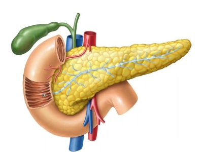 干细胞为什么可以治疗2型糖尿病？
