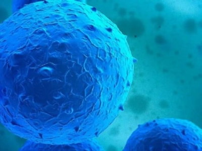 NK细胞与T细胞：细胞核里的“免疫密码”差异